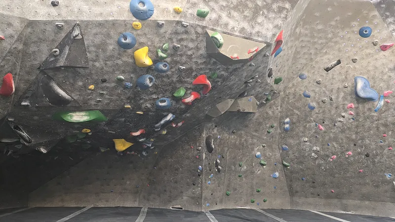 Types of Climbing Holds