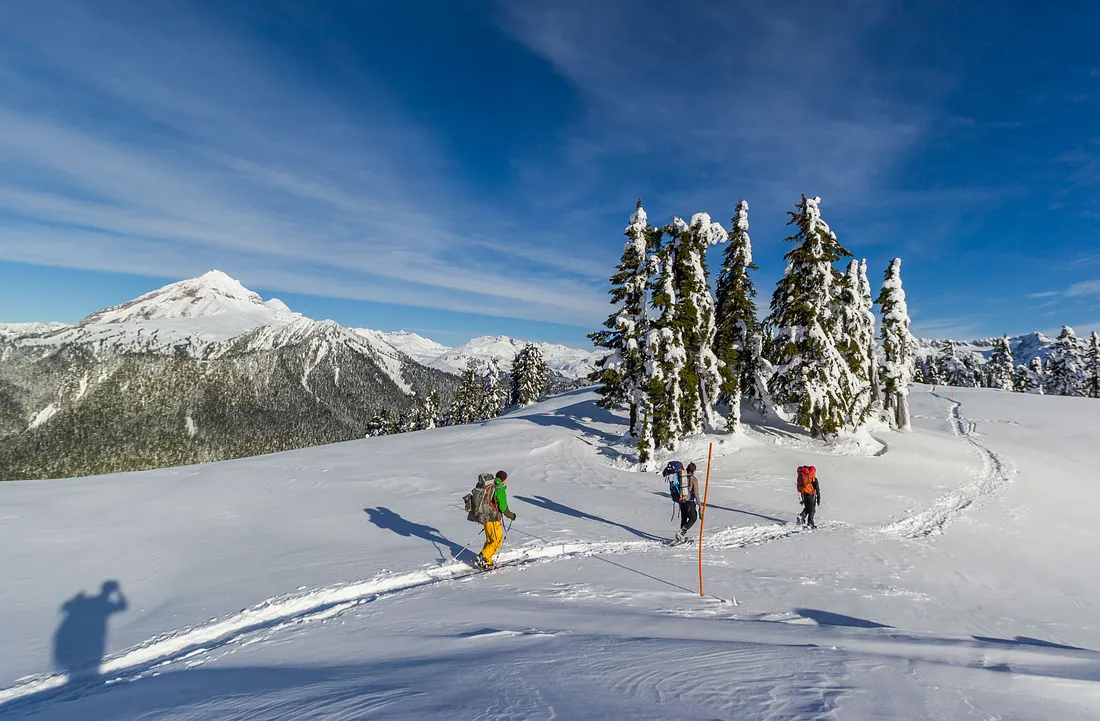 Best Snowshoes of 2024