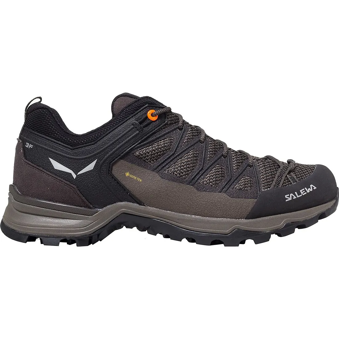 Salewa Mountain Trainer Lite GTX Hiking Shoes